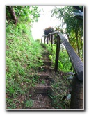 Tavoro-River-Waterfalls-Bouma-Park-Taveuni-Fiji-050