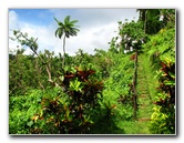 Tavoro-River-Waterfalls-Bouma-Park-Taveuni-Fiji-051