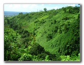 Tavoro-River-Waterfalls-Bouma-Park-Taveuni-Fiji-052