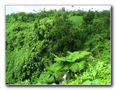 Tavoro-River-Waterfalls-Bouma-Park-Taveuni-Fiji-053