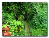 Tavoro-River-Waterfalls-Bouma-Park-Taveuni-Fiji-054