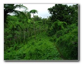Tavoro-River-Waterfalls-Bouma-Park-Taveuni-Fiji-057