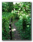 Tavoro-River-Waterfalls-Bouma-Park-Taveuni-Fiji-060