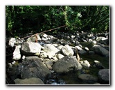 Tavoro-River-Waterfalls-Bouma-Park-Taveuni-Fiji-065