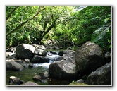 Tavoro-River-Waterfalls-Bouma-Park-Taveuni-Fiji-066