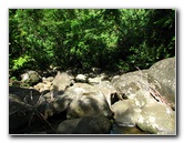 Tavoro-River-Waterfalls-Bouma-Park-Taveuni-Fiji-067