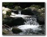 Tavoro-River-Waterfalls-Bouma-Park-Taveuni-Fiji-068