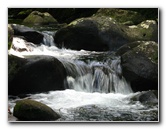 Tavoro-River-Waterfalls-Bouma-Park-Taveuni-Fiji-069