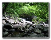 Tavoro-River-Waterfalls-Bouma-Park-Taveuni-Fiji-078