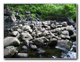 Tavoro-River-Waterfalls-Bouma-Park-Taveuni-Fiji-083