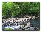 Tavoro-River-Waterfalls-Bouma-Park-Taveuni-Fiji-093