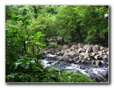 Tavoro-River-Waterfalls-Bouma-Park-Taveuni-Fiji-094