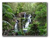 Tavoro-River-Waterfalls-Bouma-Park-Taveuni-Fiji-104