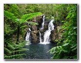 Tavoro-River-Waterfalls-Bouma-Park-Taveuni-Fiji-105