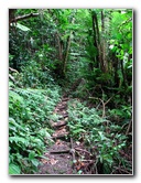 Tavoro-River-Waterfalls-Bouma-Park-Taveuni-Fiji-122