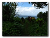 Tavoro-River-Waterfalls-Bouma-Park-Taveuni-Fiji-130