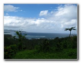 Tavoro-River-Waterfalls-Bouma-Park-Taveuni-Fiji-131