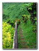 Tavoro-River-Waterfalls-Bouma-Park-Taveuni-Fiji-132