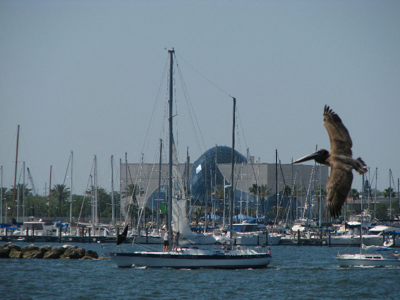 The-Pier-St-Petersburg-FL-023