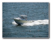 The-Pier-St-Petersburg-FL-015