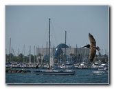 The-Pier-St-Petersburg-FL-023