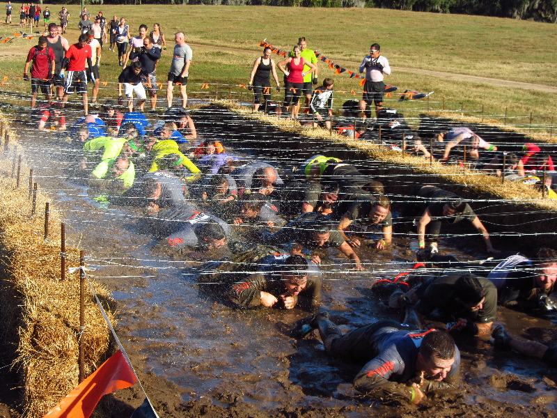 Tough-Mudder-Obstacle-Course-2011-Tampa-FL-039