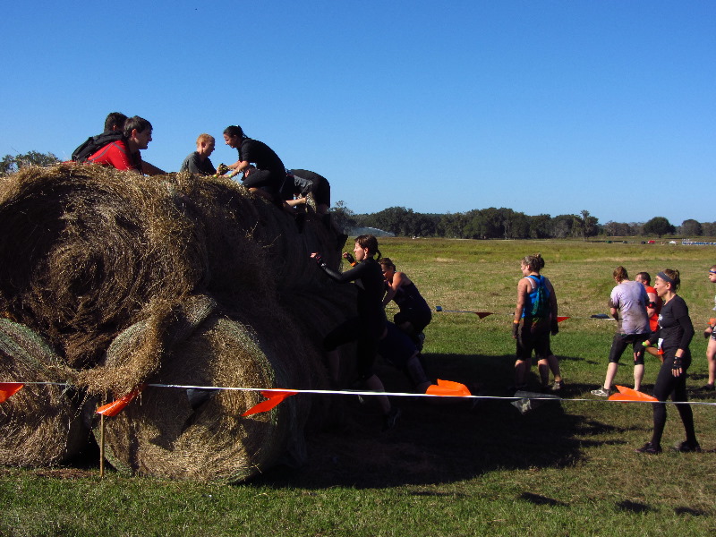 Tough-Mudder-Obstacle-Course-2011-Tampa-FL-062