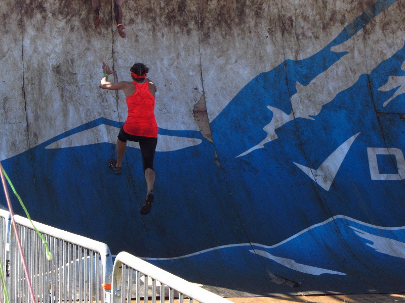 Tough-Mudder-Obstacle-Course-2011-Tampa-FL-091