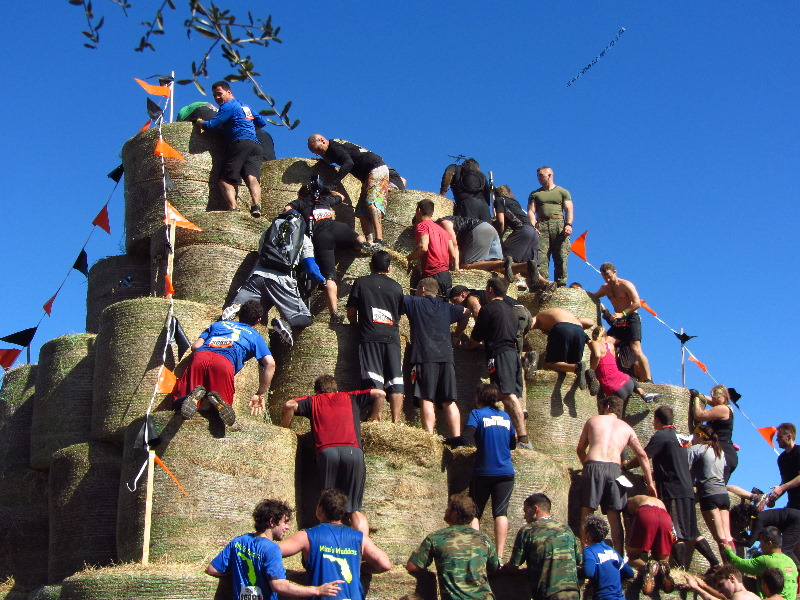 Tough-Mudder-Obstacle-Course-2011-Tampa-FL-139