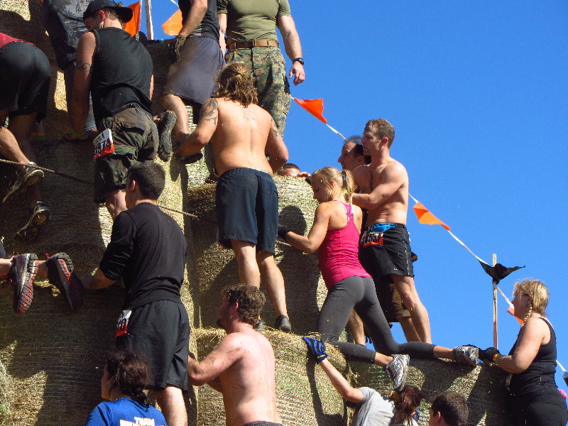 Tough-Mudder-Obstacle-Course-2011-Tampa-FL-140