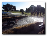 Tough-Mudder-Obstacle-Course-2011-Tampa-FL-037