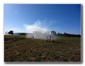 Tough-Mudder-Obstacle-Course-2011-Tampa-FL-054