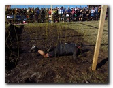 Tough-Mudder-Obstacle-Course-2011-Tampa-FL-100