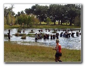 Tough-Mudder-Obstacle-Course-2011-Tampa-FL-144