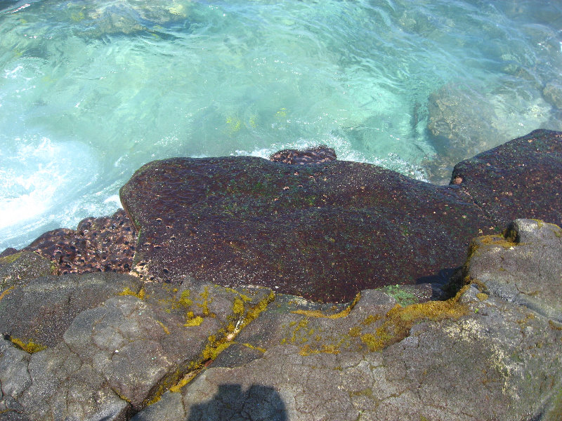 Two-Step-Snorkeling-Honaunau-Bay-South-Kona-Big-Island-006