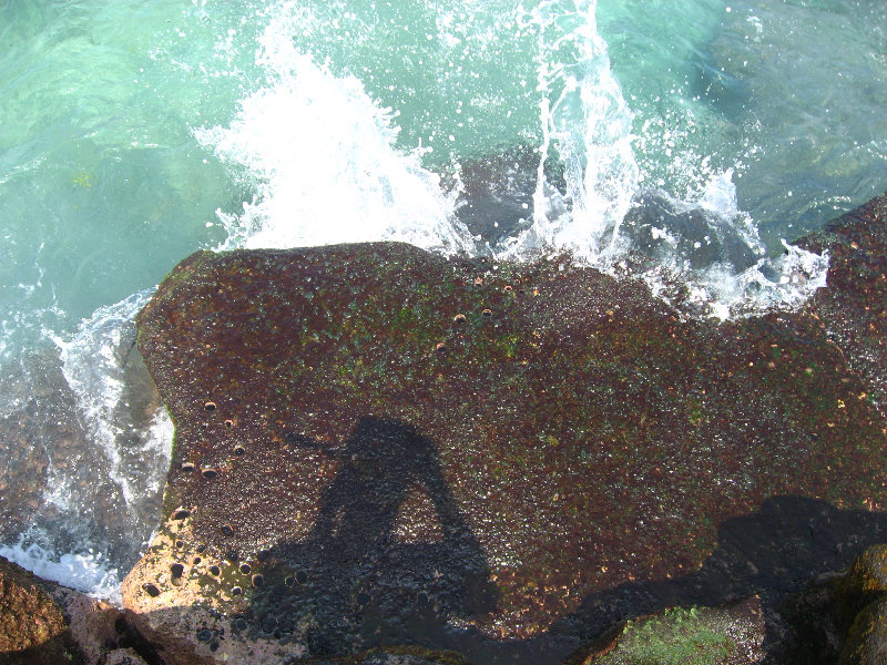 Two-Step-Snorkeling-Honaunau-Bay-South-Kona-Big-Island-007