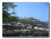 Two-Step-Snorkeling-Honaunau-Bay-South-Kona-Big-Island-001