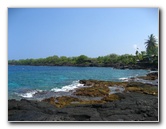 Two-Step-Snorkeling-Honaunau-Bay-South-Kona-Big-Island-003