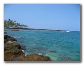 Two-Step-Snorkeling-Honaunau-Bay-South-Kona-Big-Island-005