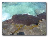 Two-Step-Snorkeling-Honaunau-Bay-South-Kona-Big-Island-006