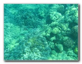 Two-Step-Snorkeling-Honaunau-Bay-South-Kona-Big-Island-034