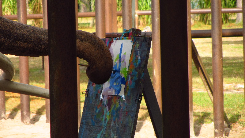 Two-Tails-Ranch-Exotic-Animal-Sanctuary-Williston-FL-015