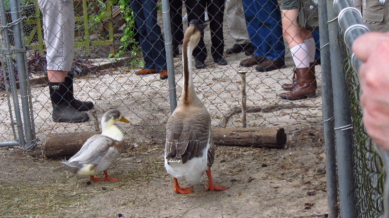 Two-Tails-Ranch-Exotic-Animal-Sanctuary-Williston-FL-025