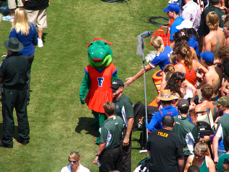 UF-Gators-Vs-USF-Bulls-Gainesville-FL-015