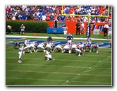 UF-Gators-Vs-USF-Bulls-Gainesville-FL-004