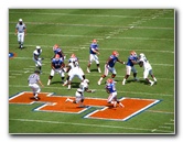 UF-Gators-Vs-USF-Bulls-Gainesville-FL-010