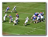 UF-Gators-Vs-USF-Bulls-Gainesville-FL-029