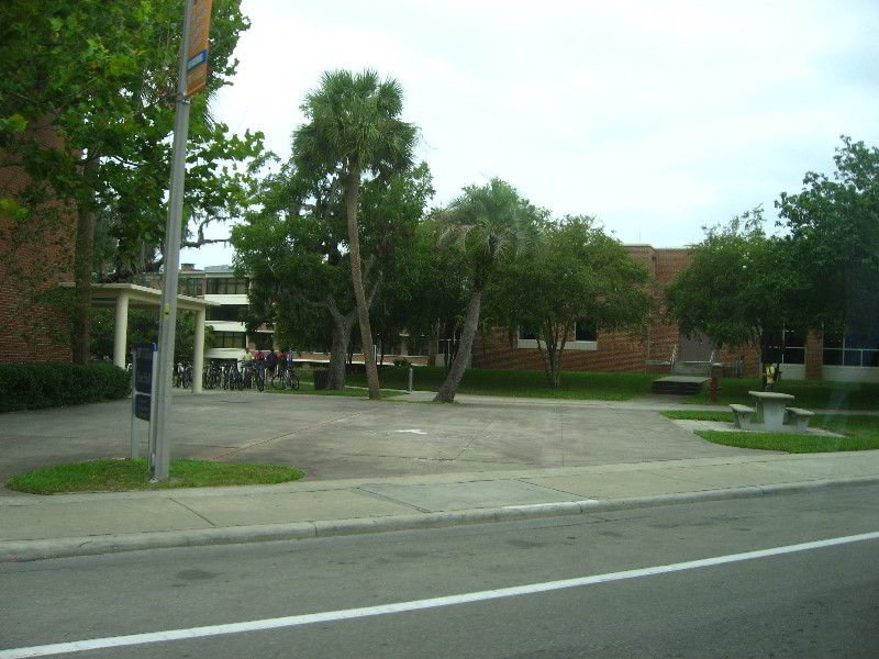 University-of-Florida-Campus-Tour-Gainesville-FL-005