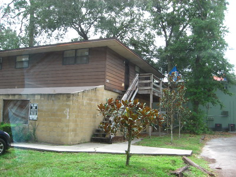 University-of-Florida-Campus-Tour-Gainesville-FL-032