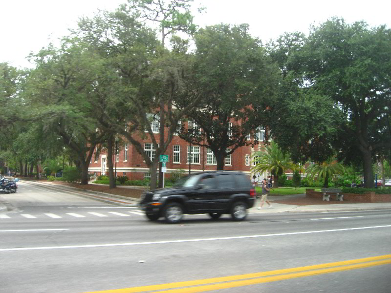University-of-Florida-Campus-Tour-Gainesville-FL-035